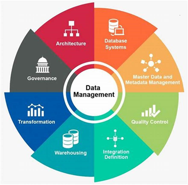 data management services simplify data management